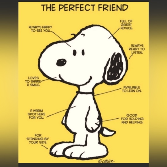 NEW! Set of 6 Adult Fabric Face Masks, 100% Cotton - Picture 6 of 7